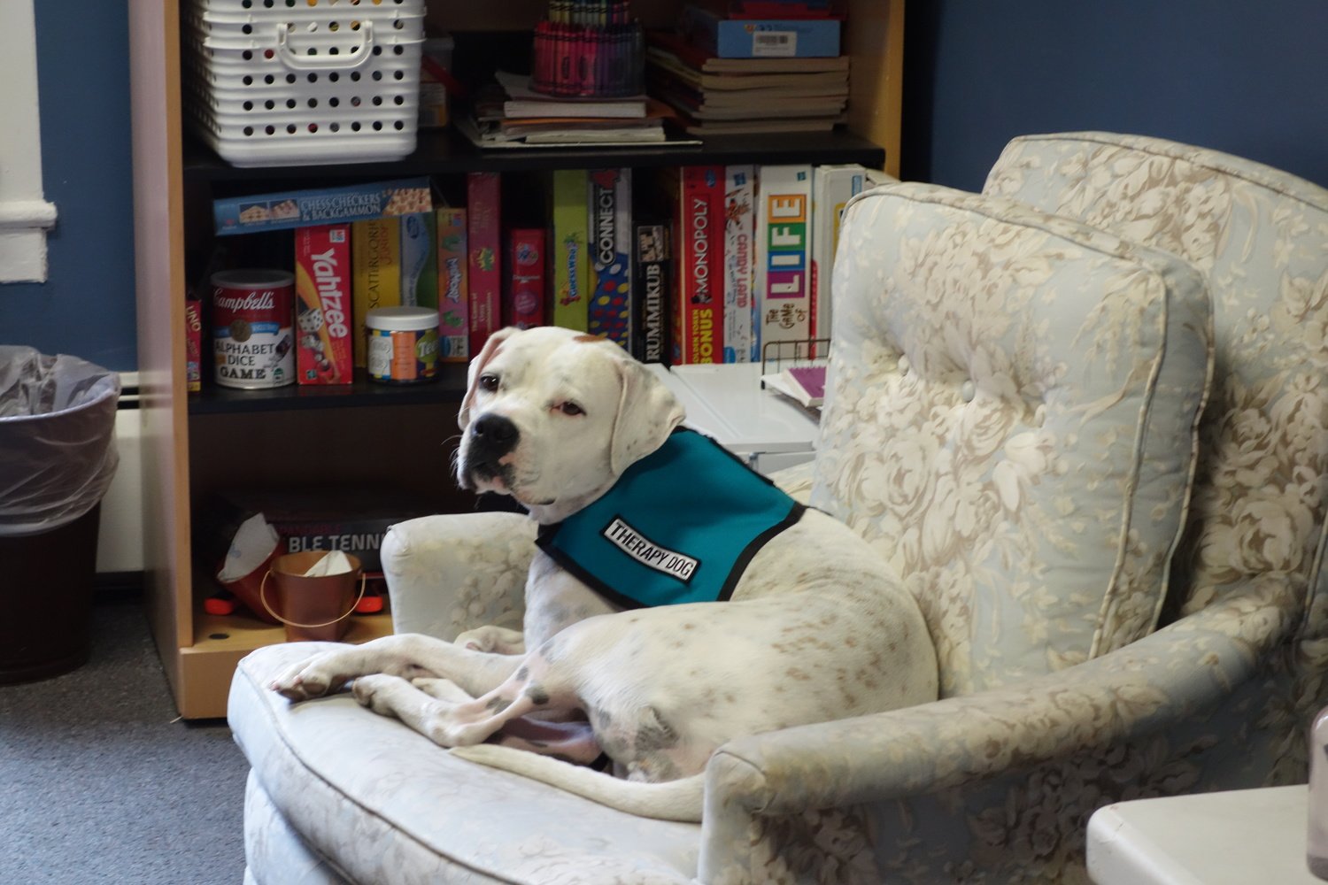 Therapy dogs visit regularly and help relieve tension and stress for kids and staff alike.